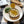 Load image into Gallery viewer, An opened tin of Real Conservera Small Sardines in Olive Oil