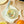 Load image into Gallery viewer, Nazarena Sardine Pâté