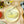 Load image into Gallery viewer, Paco Lafuente Small Scallops in Vieira Sauce