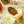 Load image into Gallery viewer, Paco Lafuente Small Scallops in Vieira Sauce