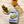 Load image into Gallery viewer, Samare Razor Clams from Galicia in Brine