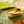 Load image into Gallery viewer, Nuri Extra Spiced Sardines in Olive Oil