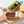 Load image into Gallery viewer, An opened tin of Lata Anchovies in Olive Oil