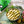 Load image into Gallery viewer, Lata Small Sardines in Oil with Jalapeños
