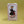 Load image into Gallery viewer, Sardine Lovers Box