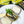 Load image into Gallery viewer, Nuri Spiced Sardines in Olive Oil with two slices of bread and cream cheese
