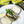 Load image into Gallery viewer, Nuri Spiced Sardines in Olive Oil with two slices of bread and cream cheese