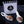 Load image into Gallery viewer, Real Conservera Española Very Small Squid in Ink served on a bed of rice