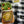 Load image into Gallery viewer, An opened tin of Samare Code served with a small salad