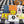 Load image into Gallery viewer, Sardine Lovers Box