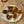 Load image into Gallery viewer, How to eat Conservas de Cambados Small Scallops in Galician Sauce