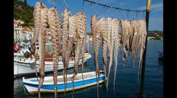 Octopus: A True Mediterranean Seafood Delicacy