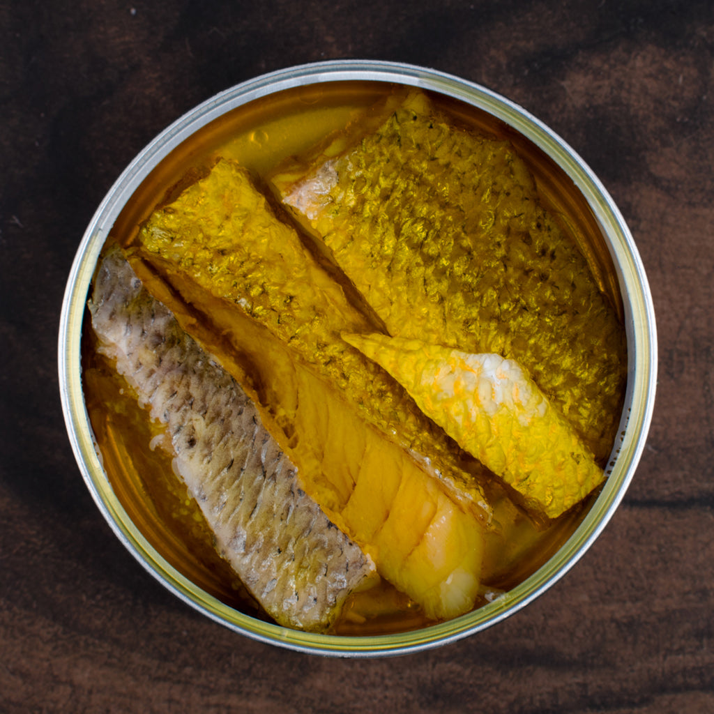 ABC+ Croaker in EVOO