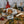 Load image into Gallery viewer, José Gourmet Smoked Small Sardines in EVOO
